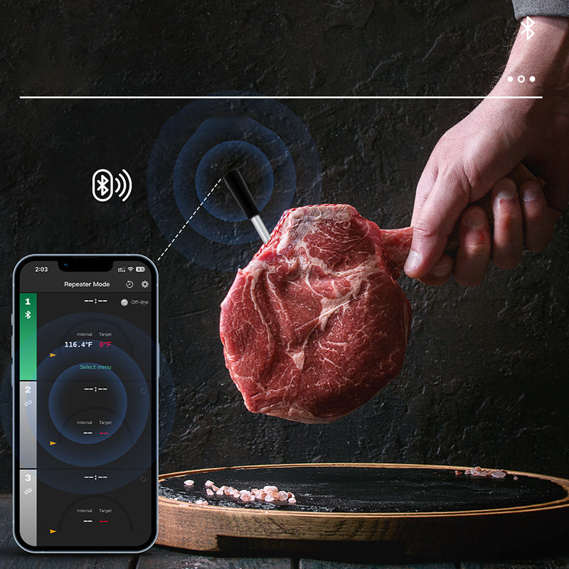 iTempMax Wireless Meat Thermometer!