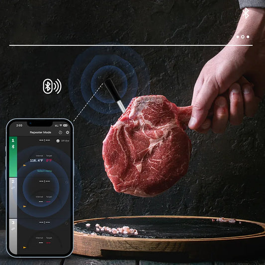 iTempMax- Meat Thermometer - homewavee