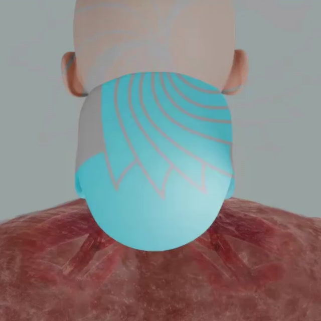 Neqlüne - handheld neck massager - homewavee